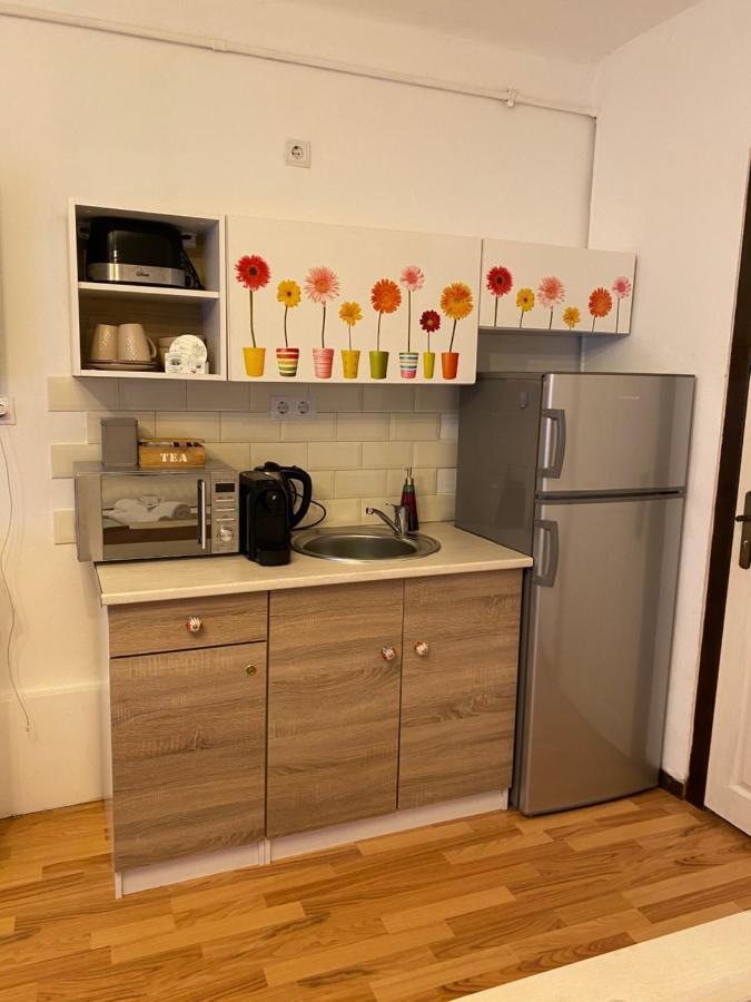 Charming Apartament Sibiu Bagian luar foto